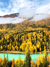 新疆喀纳斯风光