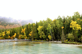 新疆喀纳斯风光