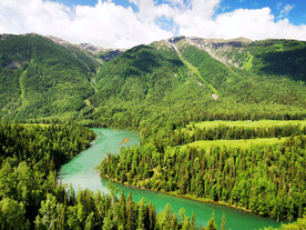 新疆喀纳斯风光