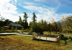 新疆喀纳斯风光