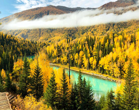 新疆喀纳斯风光