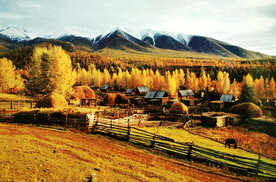 新疆喀纳斯风光