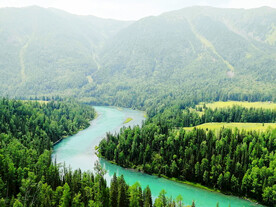 新疆喀纳斯风光