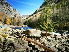 新疆喀纳斯风光