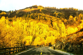 新疆喀纳斯风光