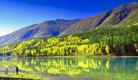 新疆喀纳斯风光