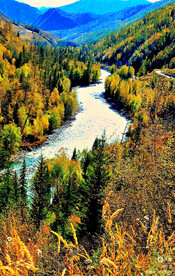 新疆喀纳斯风光