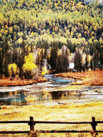 新疆喀纳斯风光