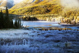 新疆喀纳斯风光