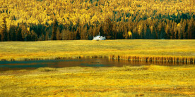 新疆喀纳斯风光