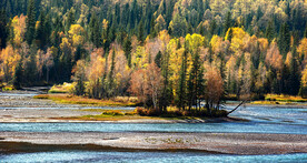 新疆喀纳斯风光