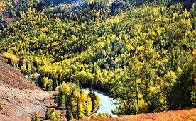 新疆喀纳斯风光