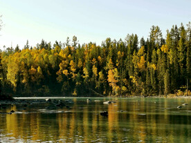新疆喀纳斯风光