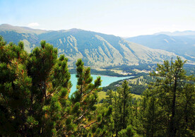 新疆喀纳斯风光