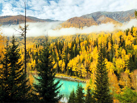 新疆喀纳斯风光