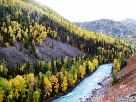 新疆喀纳斯风光