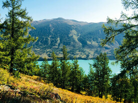 新疆喀纳斯风光