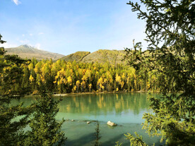 新疆喀纳斯风光