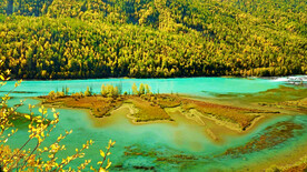 新疆喀纳斯风光