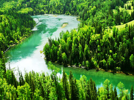 新疆喀纳斯风光