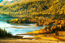 新疆喀纳斯风光