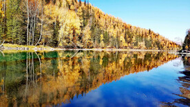 新疆喀纳斯风光