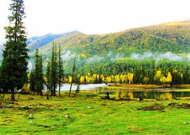 新疆喀纳斯风光