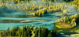 新疆喀纳斯风光