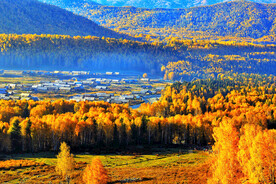 新疆喀纳斯风光