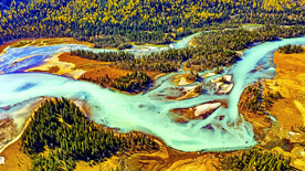 新疆喀纳斯风光