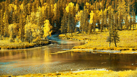 新疆喀纳斯风光