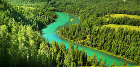 新疆喀纳斯风光