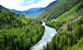 新疆喀纳斯风光