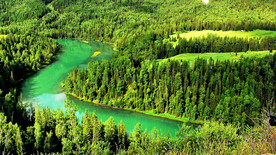 新疆喀纳斯风光