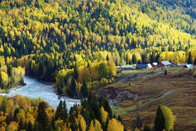 新疆喀纳斯风光