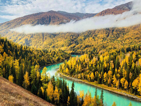 新疆喀纳斯风光