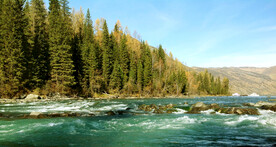 新疆喀纳斯风光