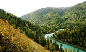 新疆喀纳斯风光