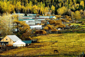 新疆喀纳斯风光