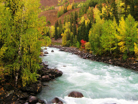 新疆喀纳斯风光