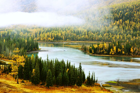 新疆喀纳斯风光