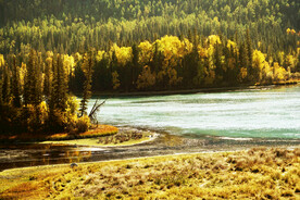 新疆喀纳斯风光