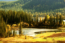 新疆喀纳斯风光