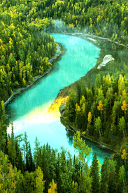 新疆喀纳斯风光