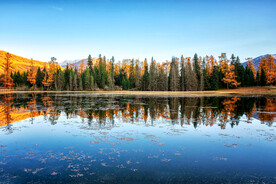 新疆喀纳斯风光
