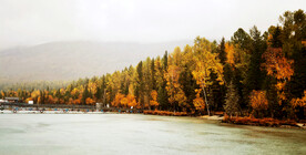 新疆喀纳斯风光