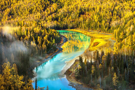 新疆喀纳斯风光