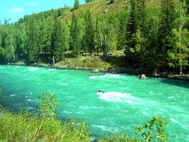 新疆喀纳斯风光