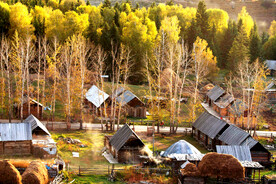 新疆喀纳斯风光