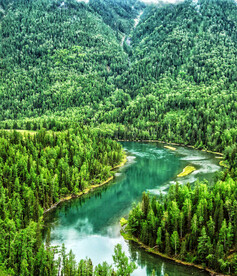 新疆喀纳斯风光